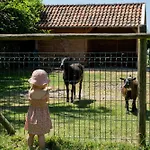 Hoeve De Binnenplaets Schimmert