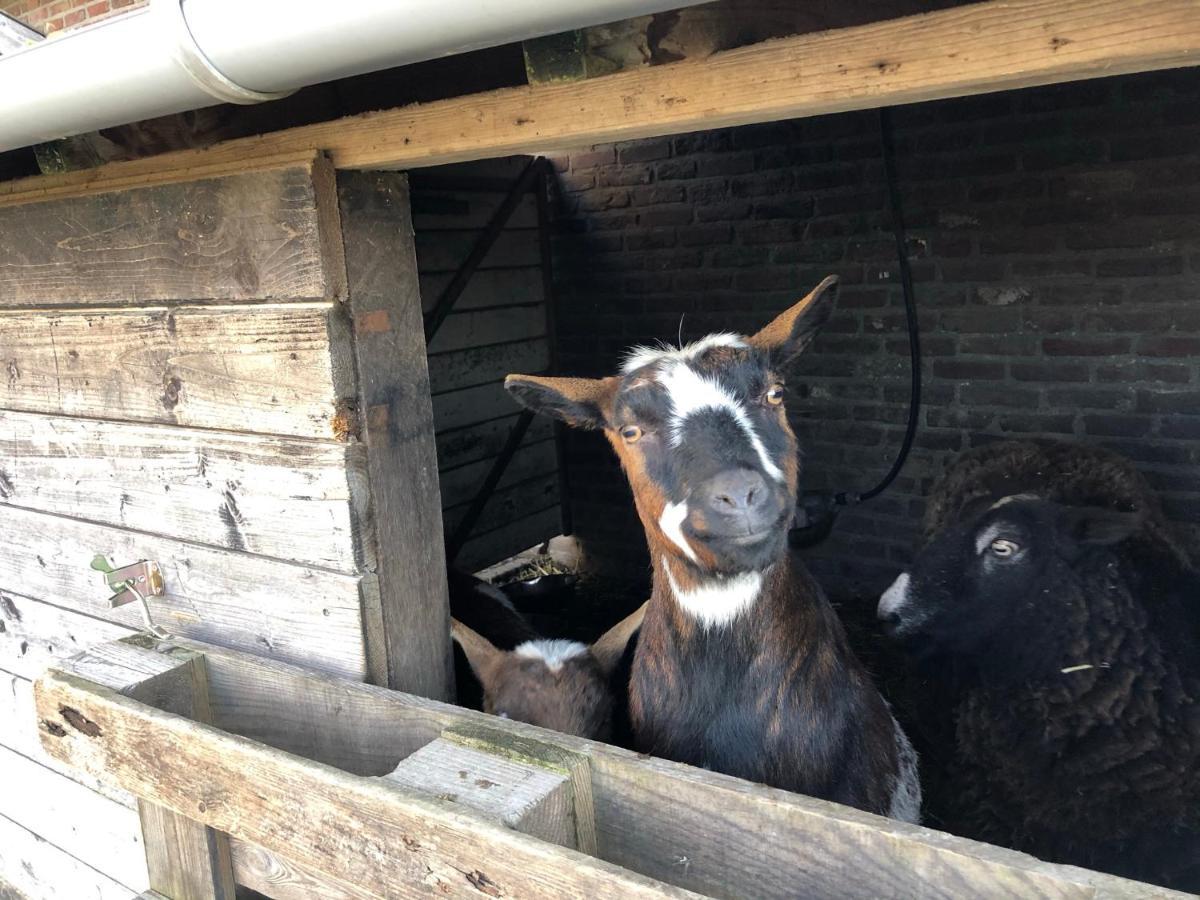 Hoeve De Binnenplaets *