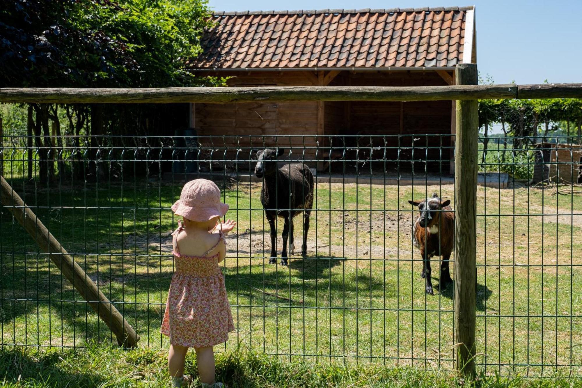 Hoeve De Binnenplaets Apartamento Schimmert