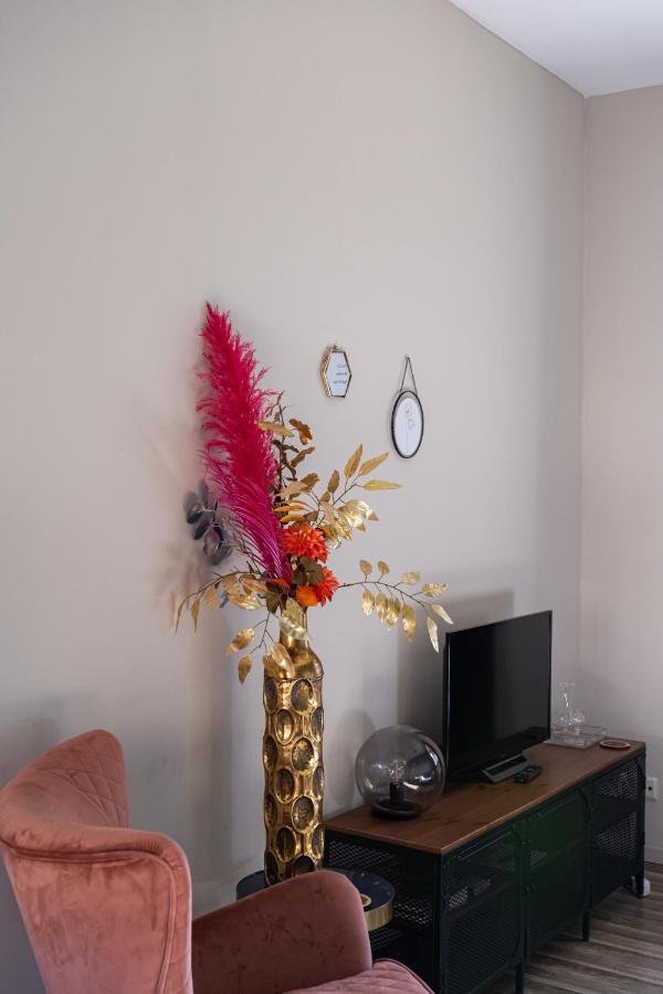 Hoeve De Binnenplaets Apartment *